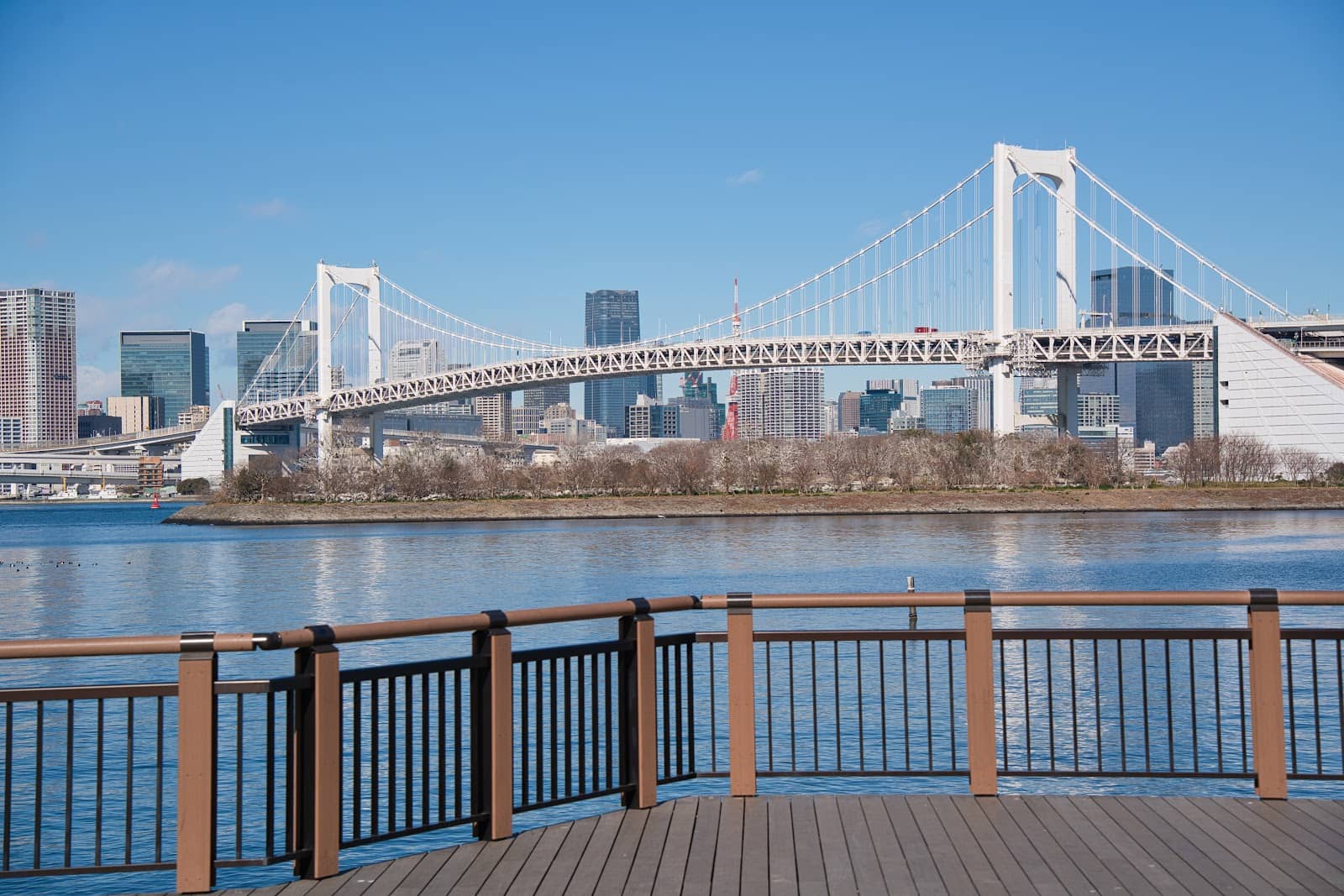 Odaiba Seaside Park Views