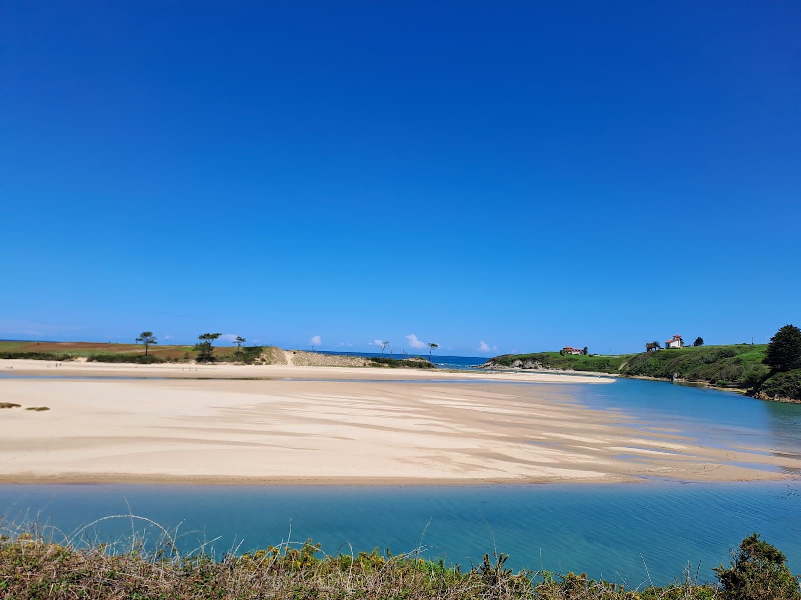 La Rabia Estuary - Image 1