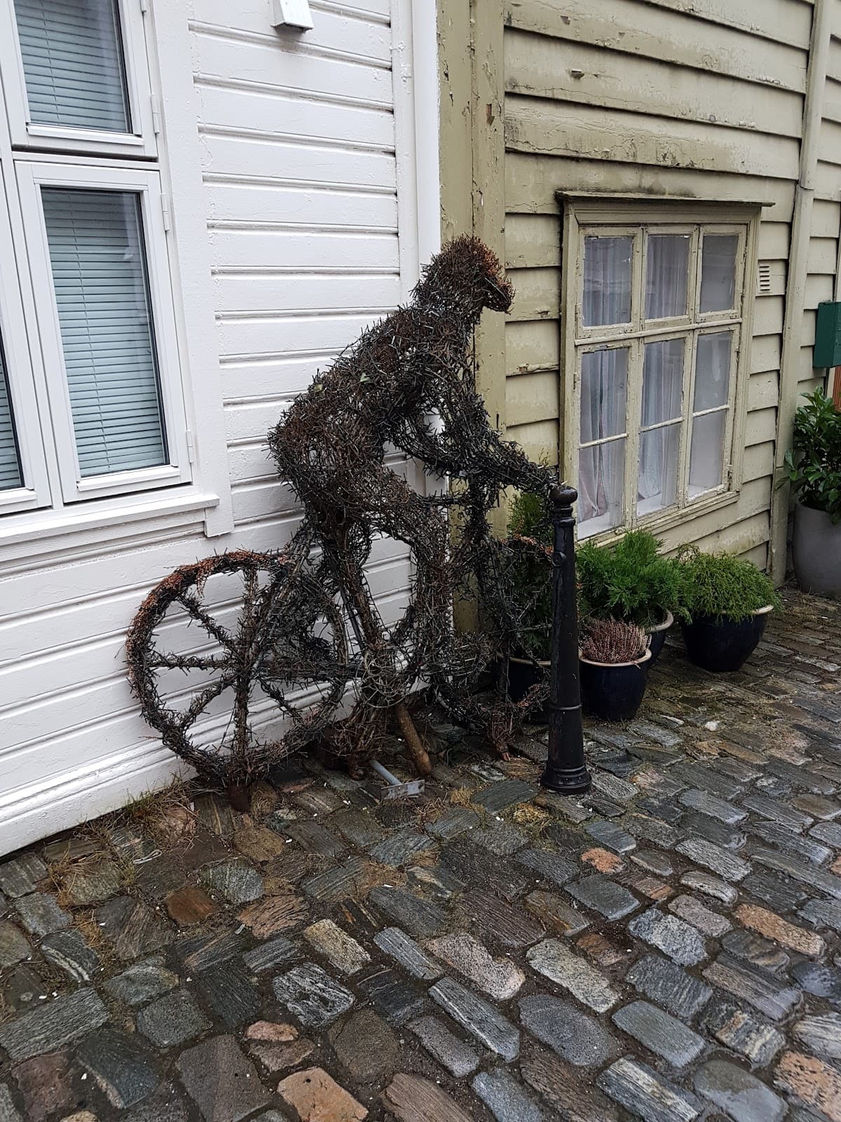 Knøsesmauet Lane Nordnes - Image 1