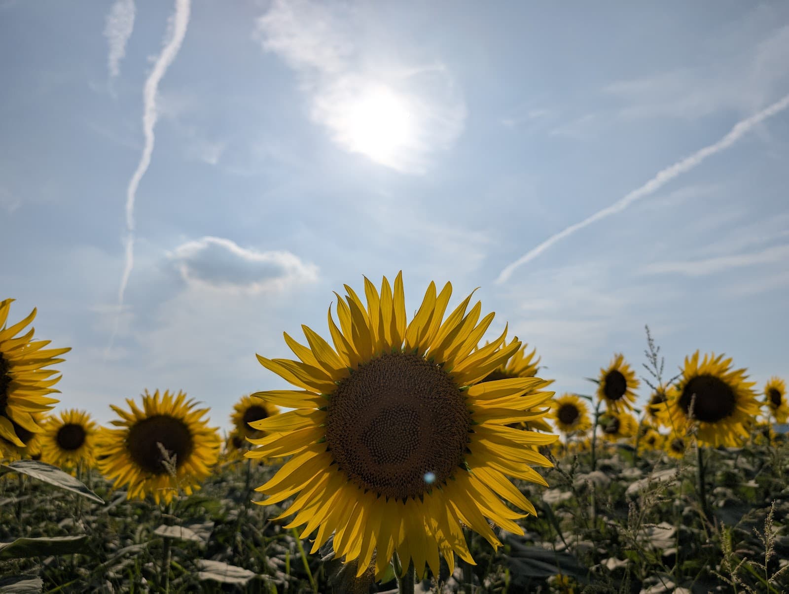 Kasaoka Bay Farm - Image 1