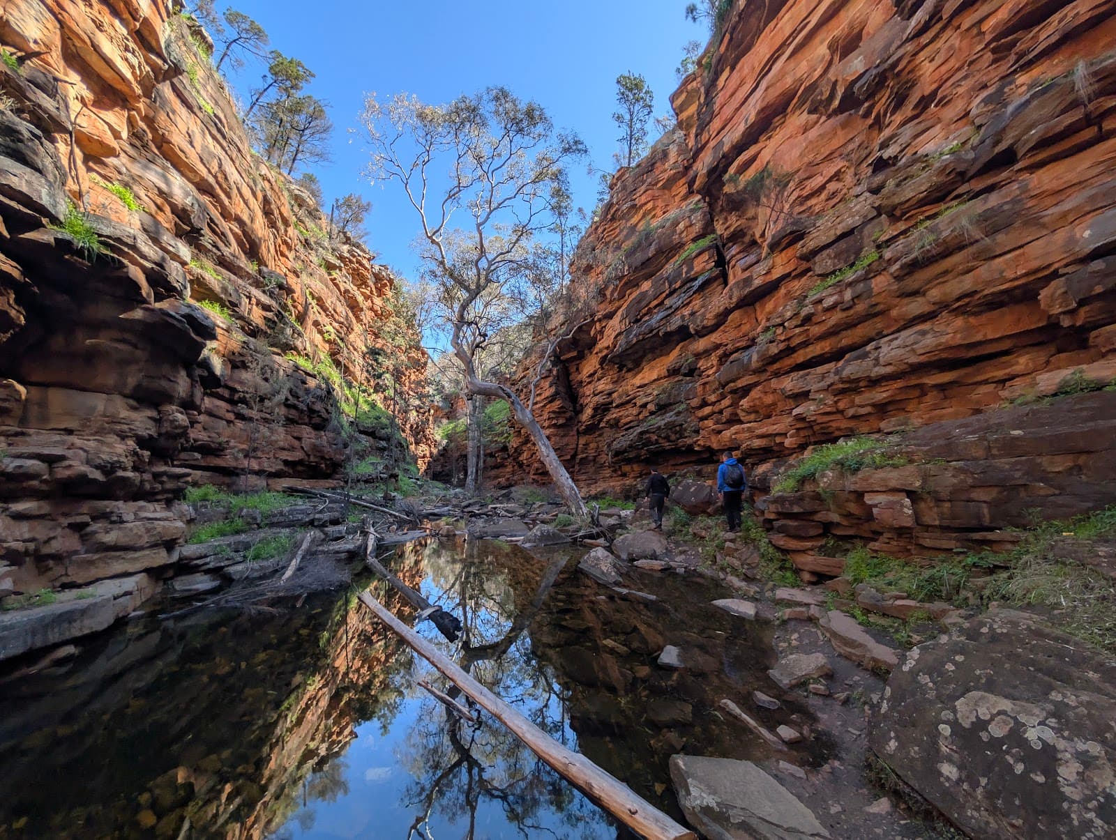 Mount Remarkable National Park (Alligator Gorge) - Image 1