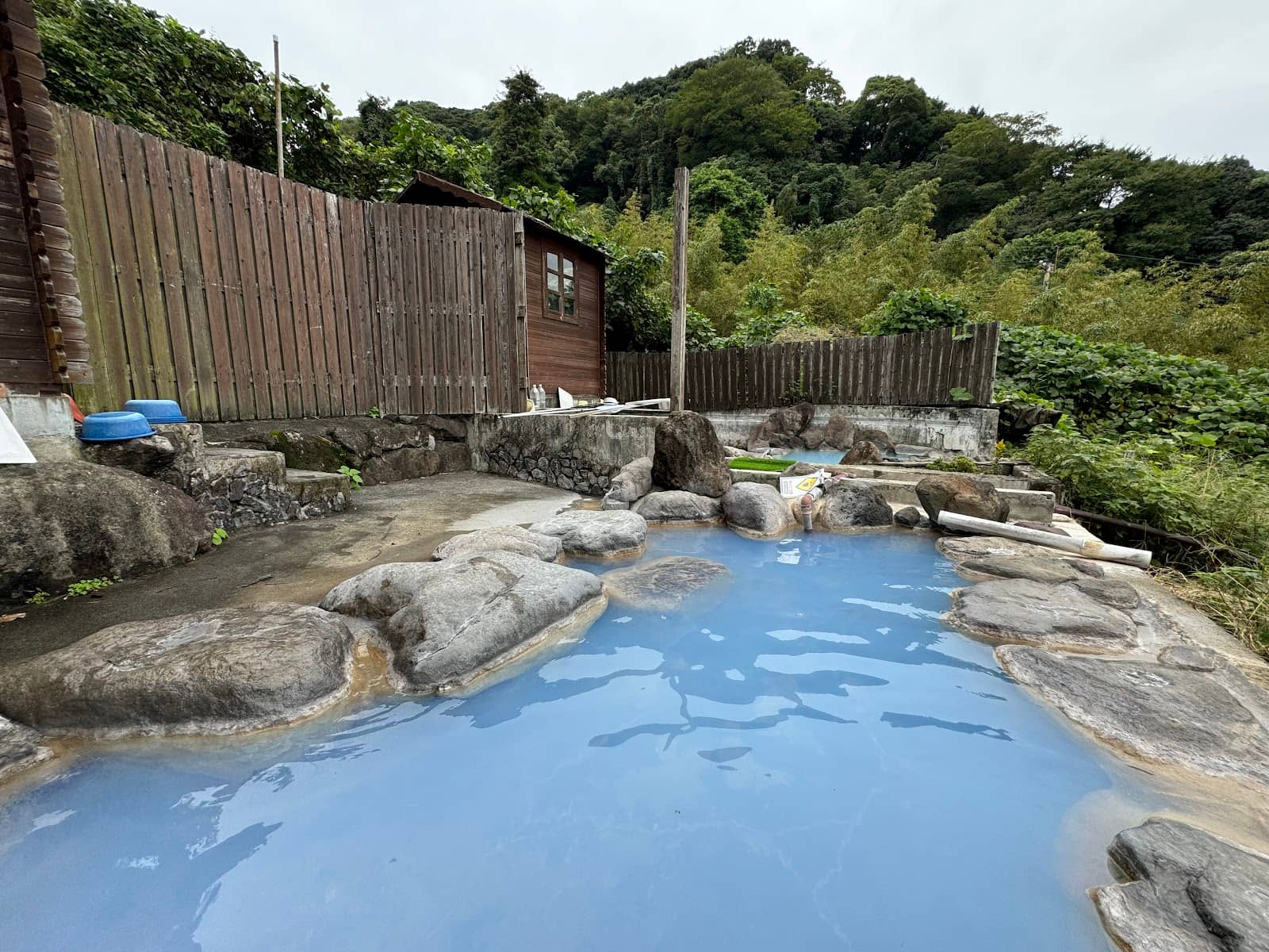 Authentic Home-Cooked Meal