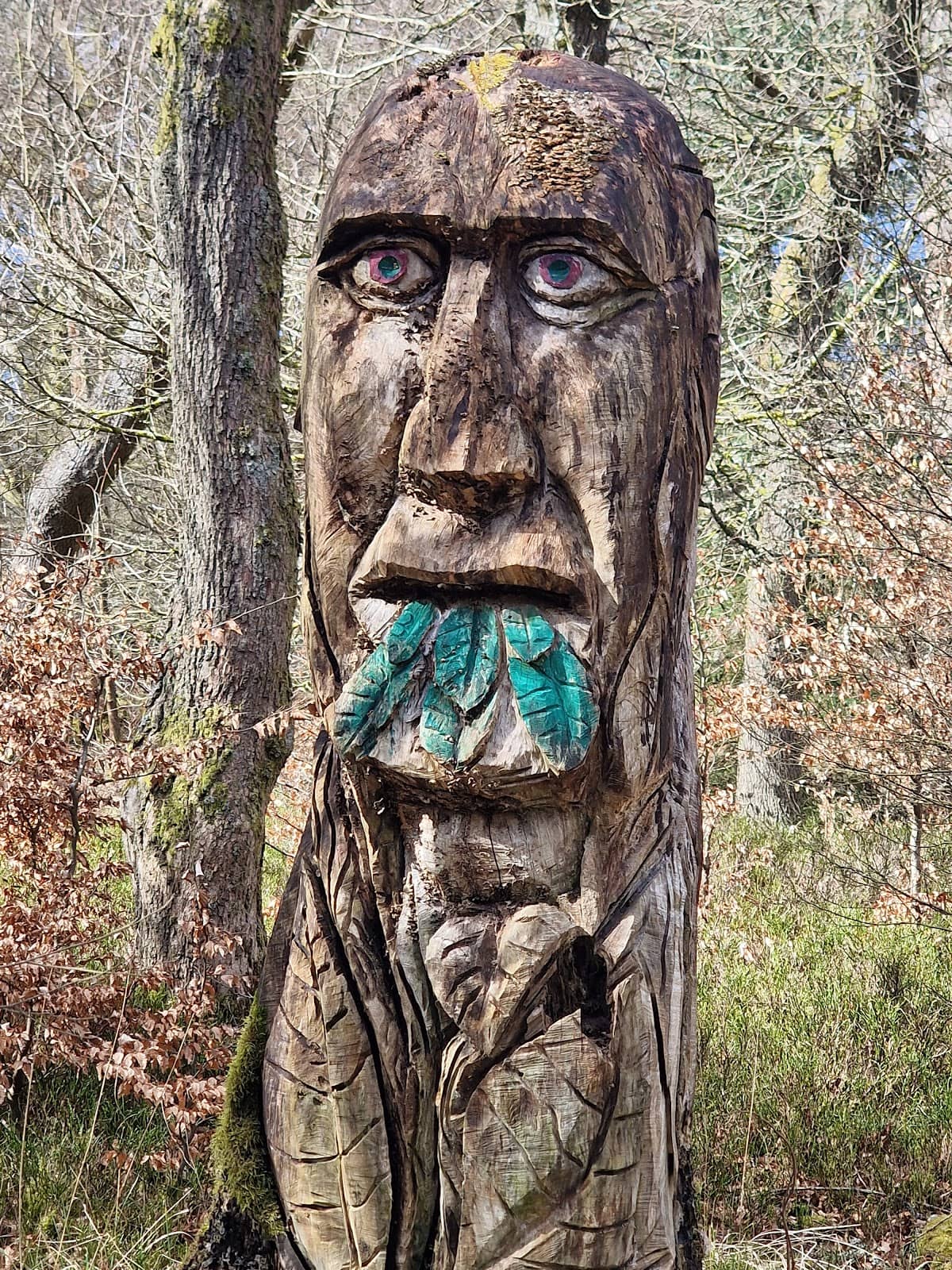 Native Wildlife Spotting