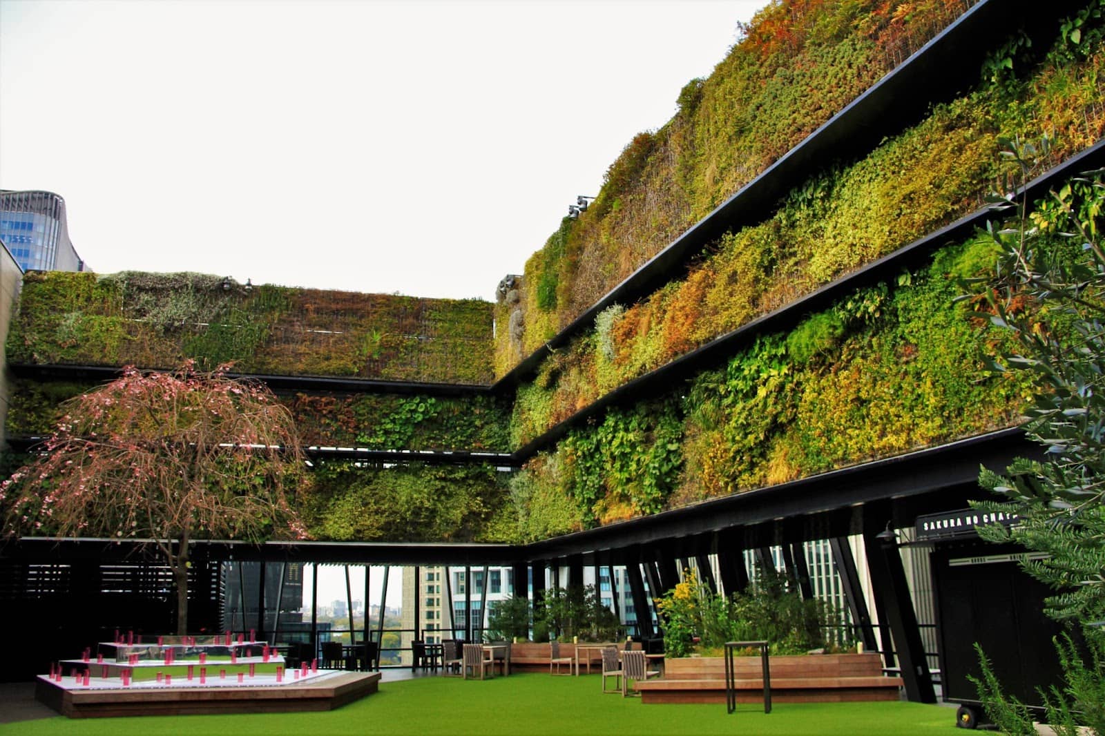 Nighttime City Lights