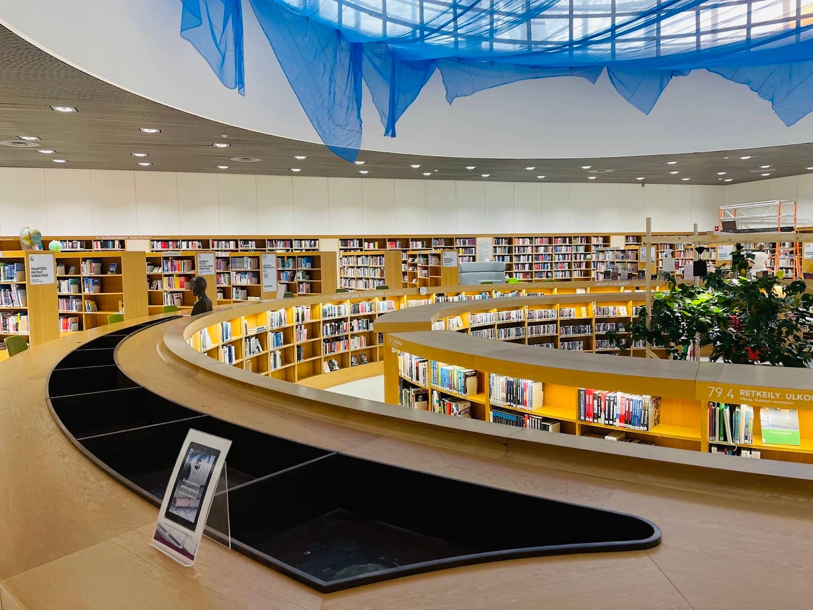 Sylvi the Therapy Dog