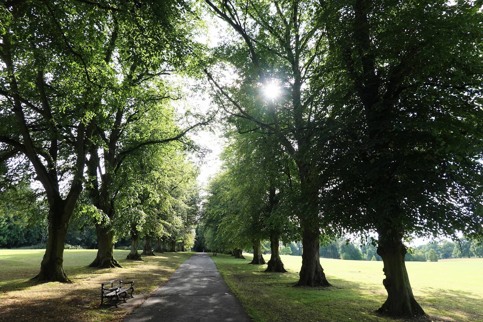 Outdoor Fitness Classes