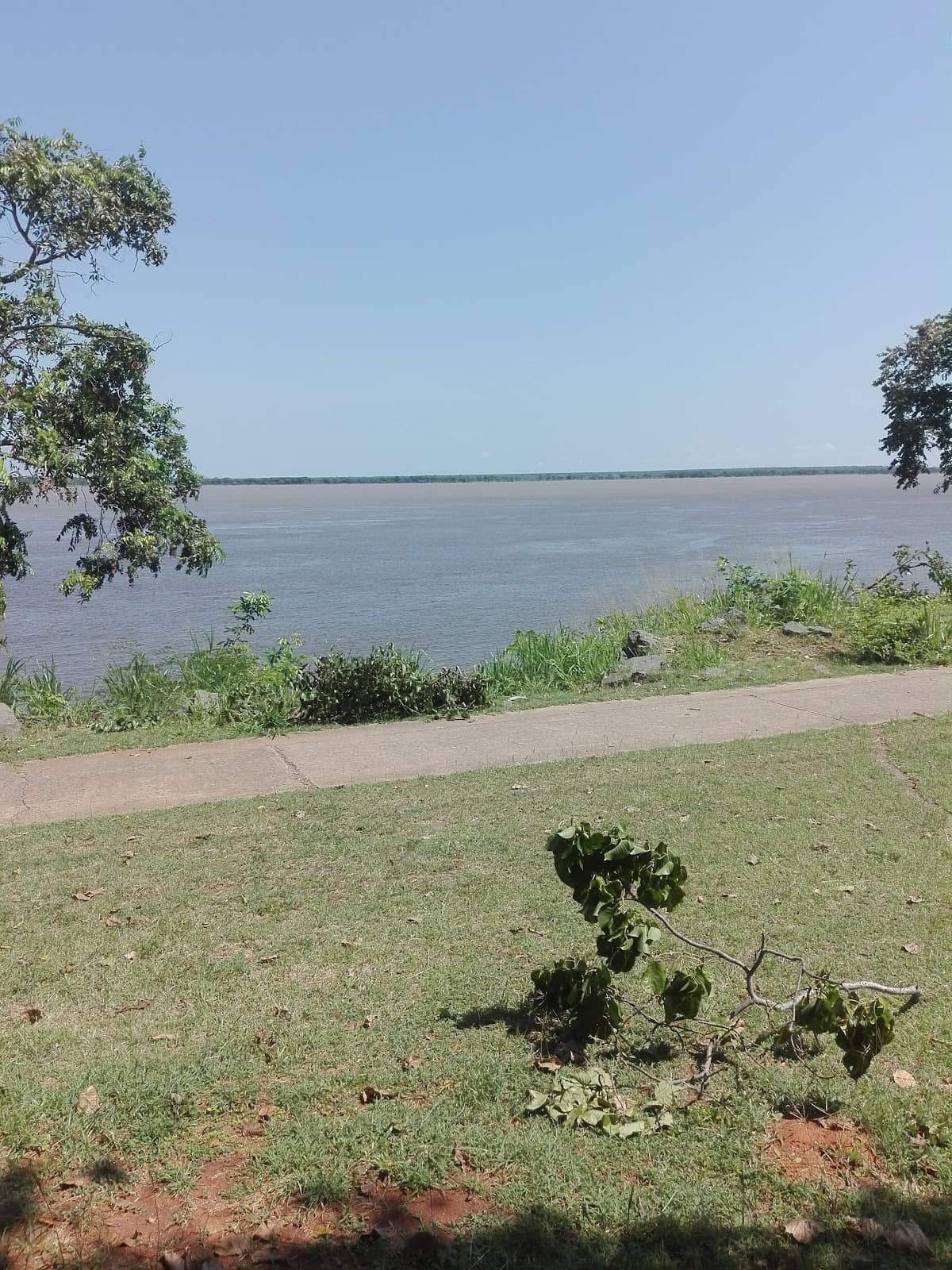 Local Market & Fishermen's Hub