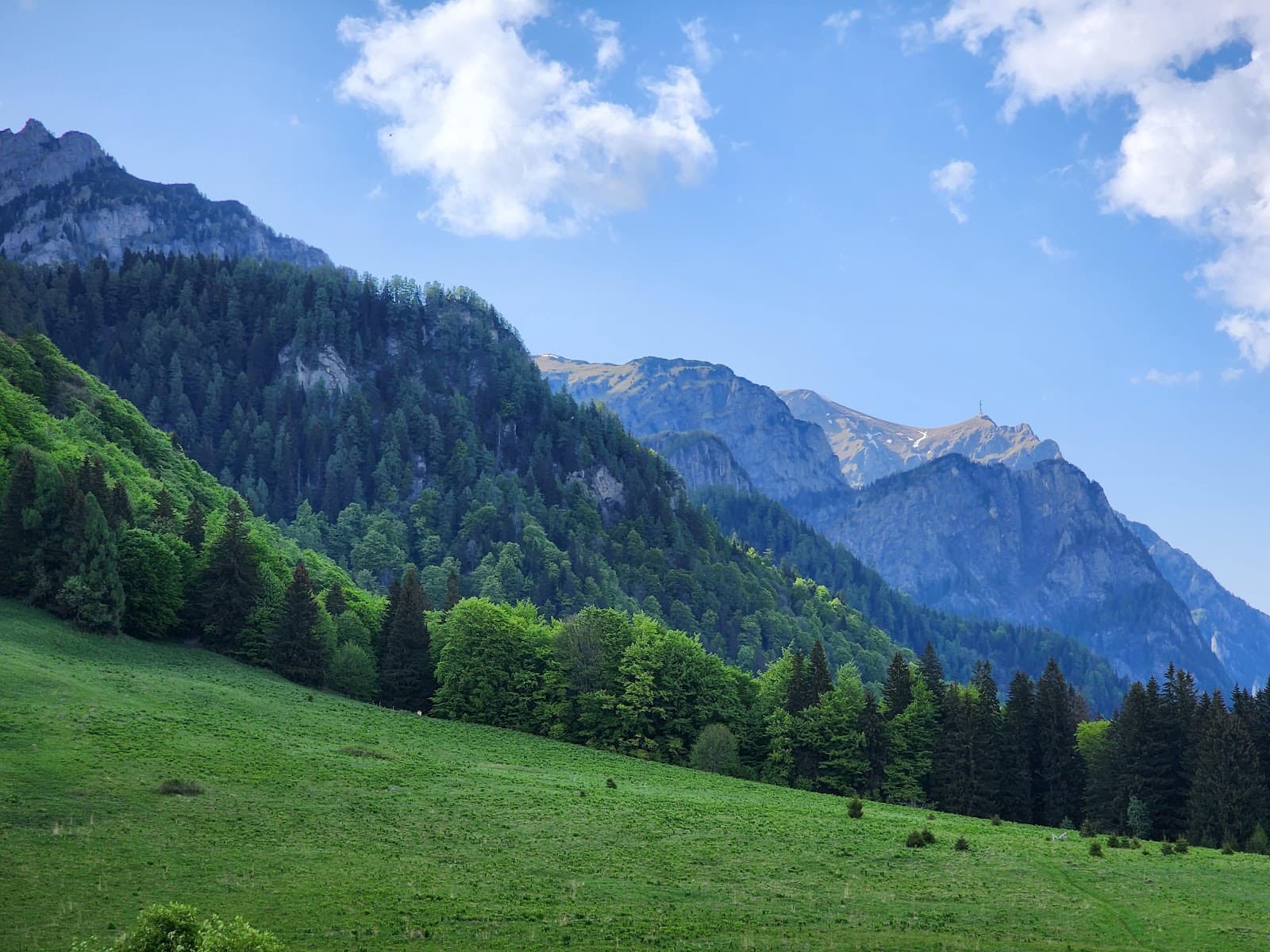 Stâna Regală (Royal Sheepfold) - Image 1