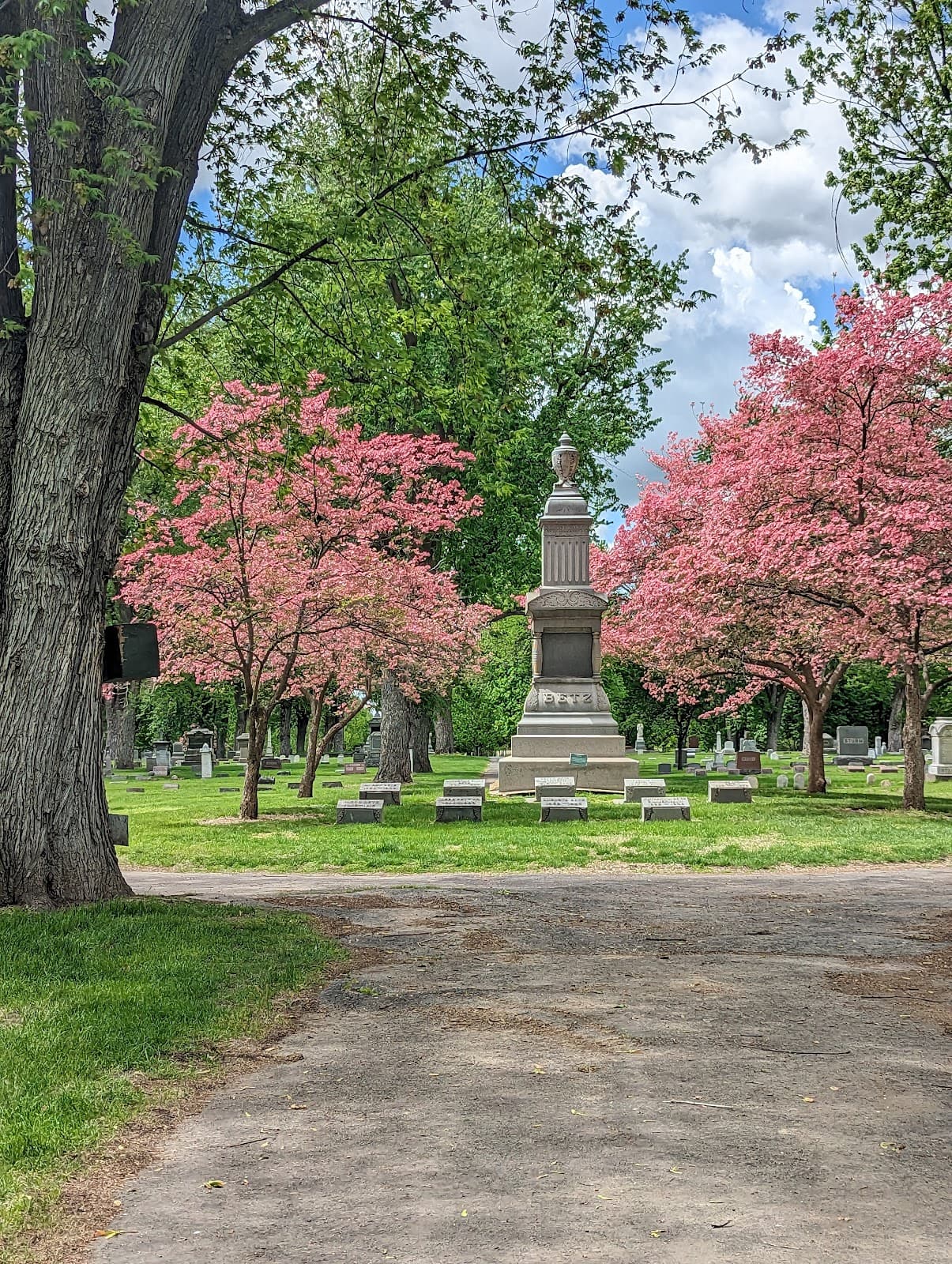 Mountain View Cemetery - Image 1