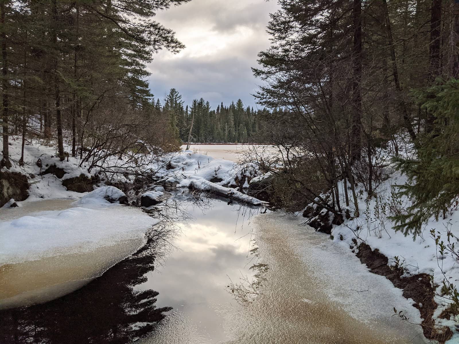 Local Sports & Entertainment