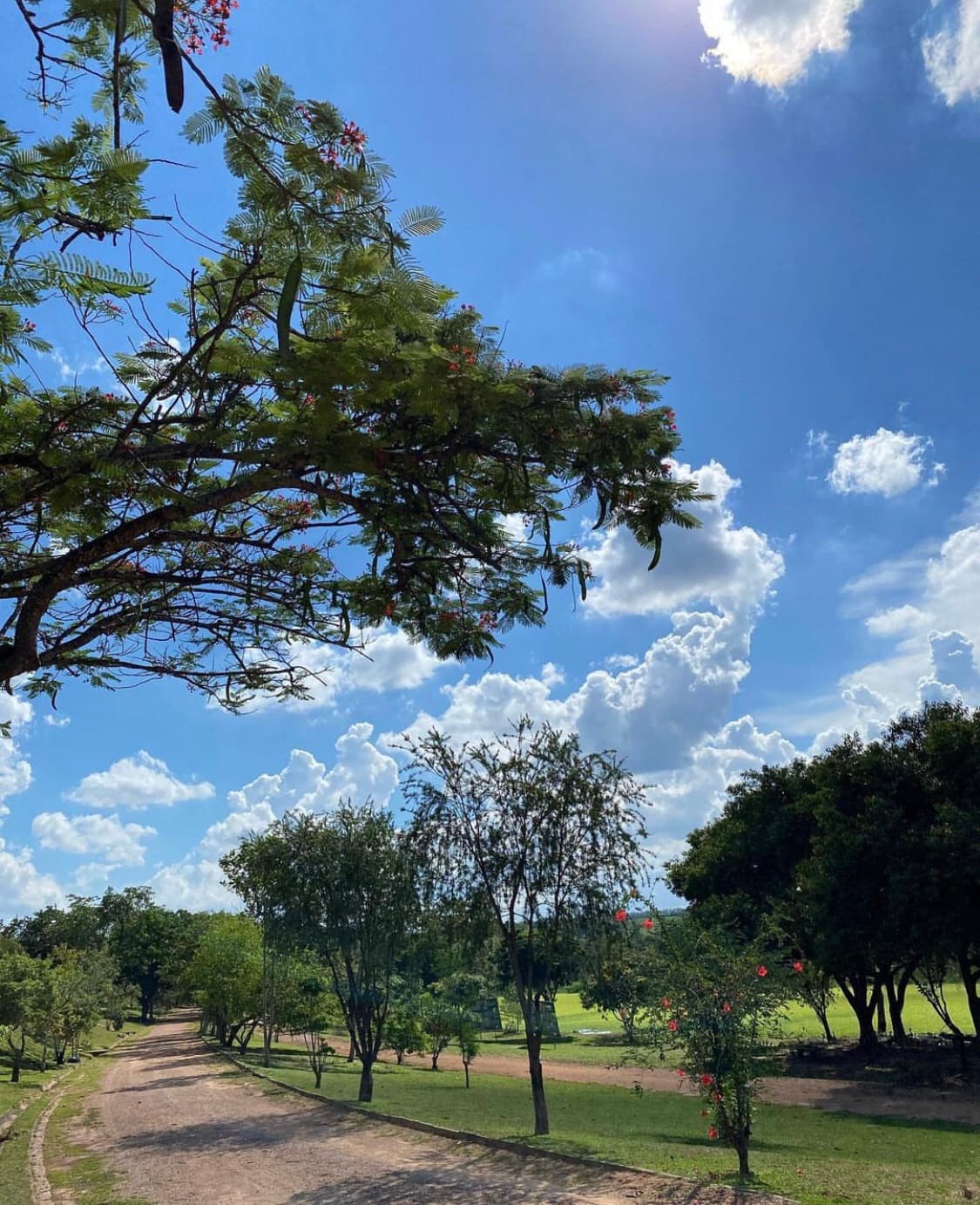 Parque do Lago Salto São Paulo - Image 1