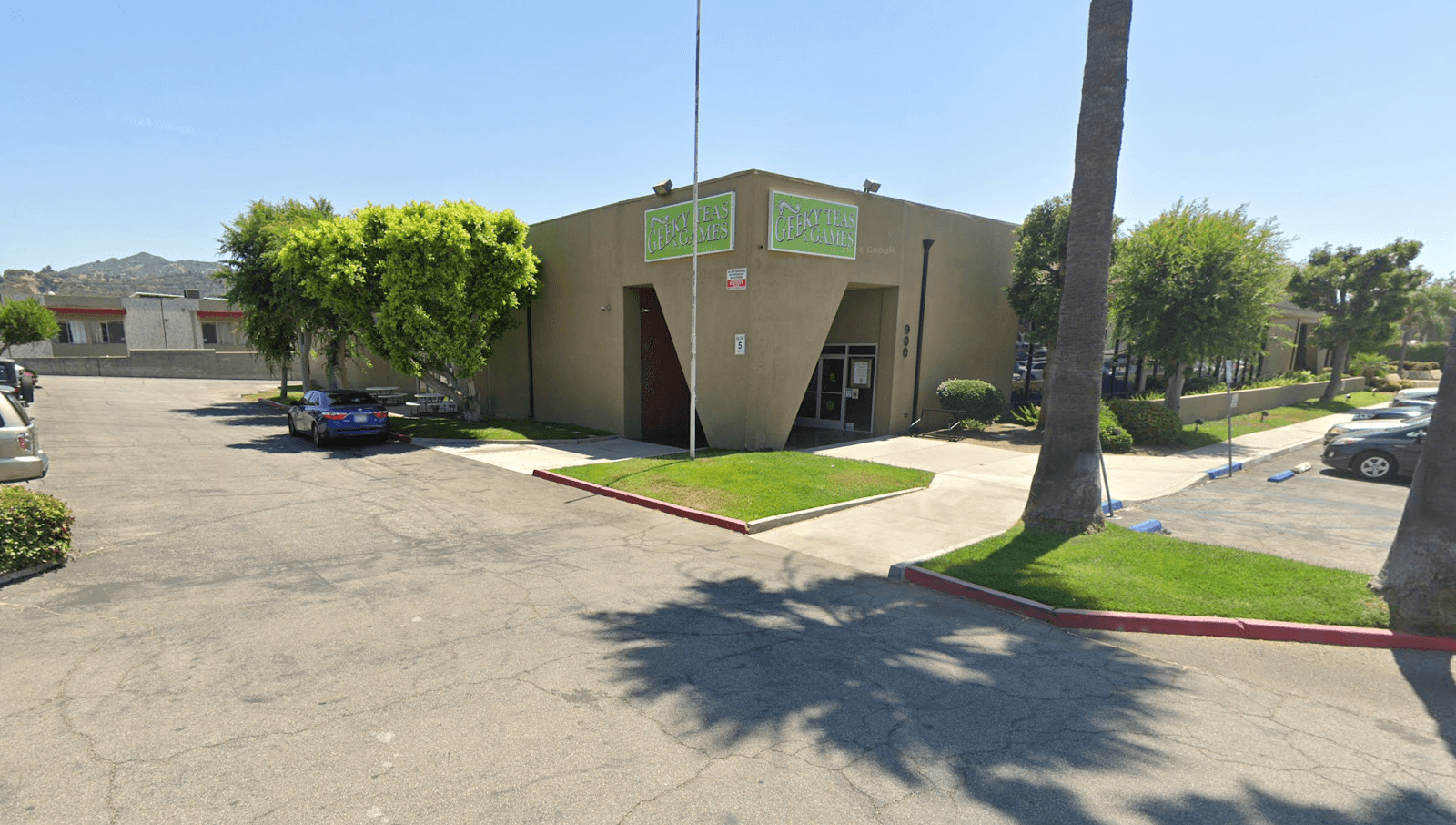 Kitten Rescue & Adoption