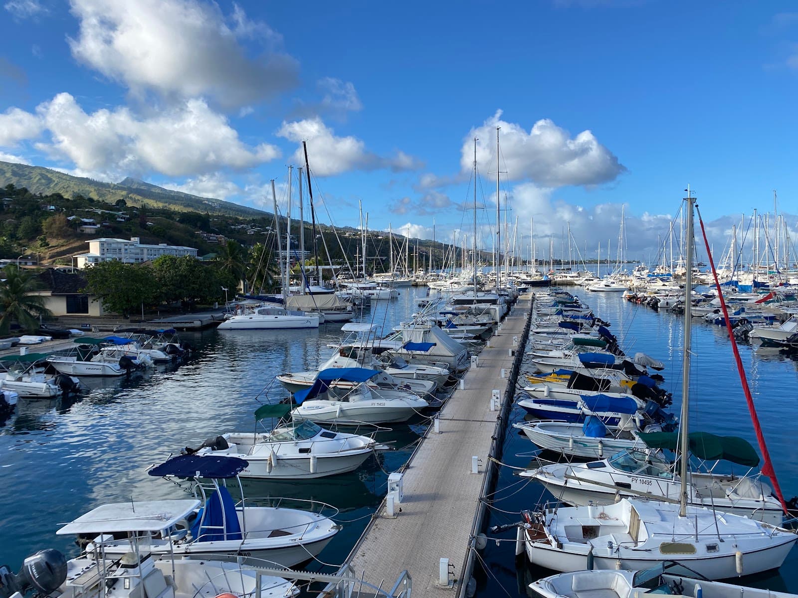 Marina Taina - Image 1