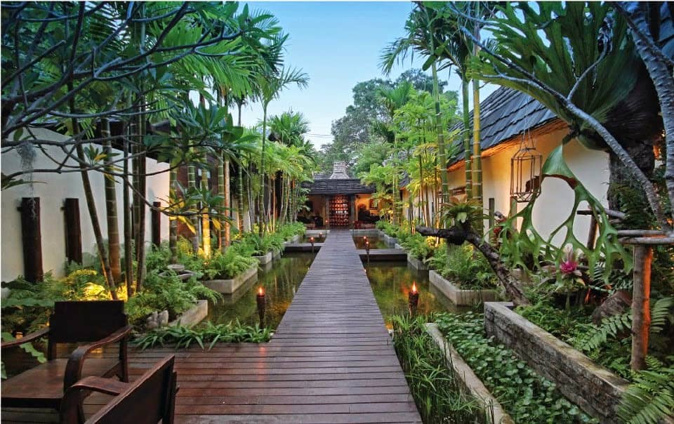 Tranquil Garden Setting