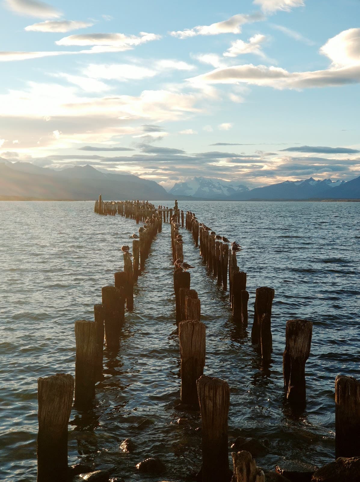 Old Pier Muelle Viejo - Image 1