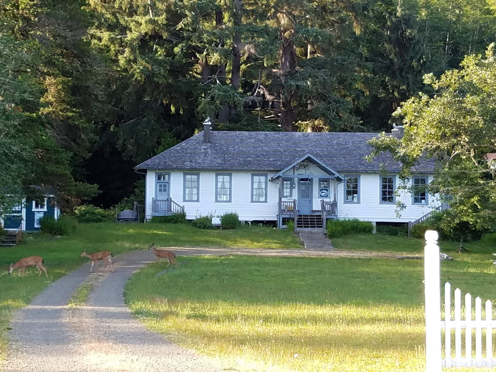 Knappton Cove Heritage Center - Image 1