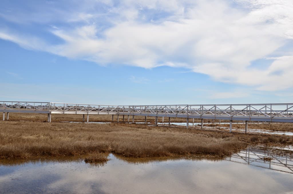 The Wetlands Institute - Image 1