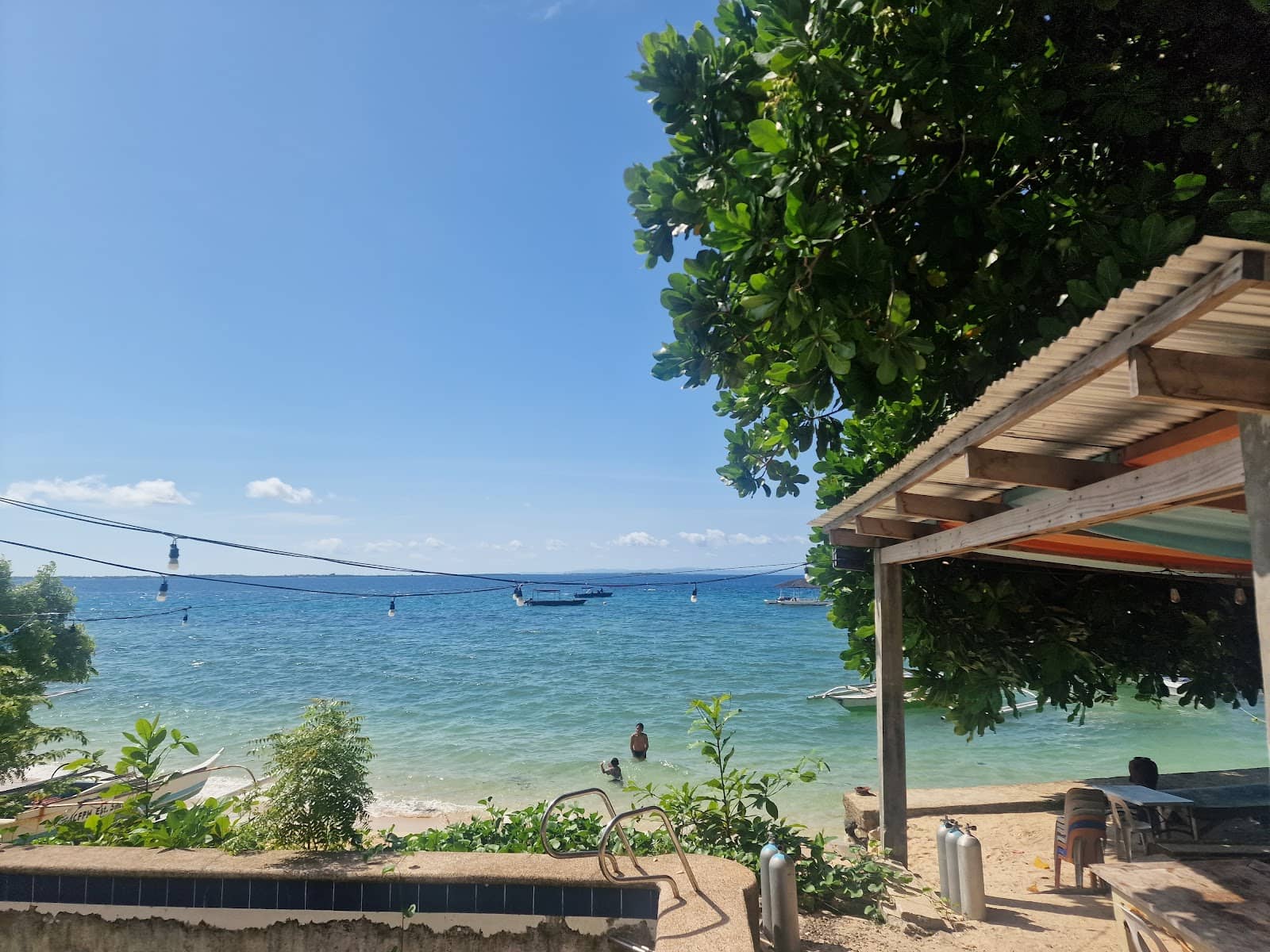 Marine Life Encounters