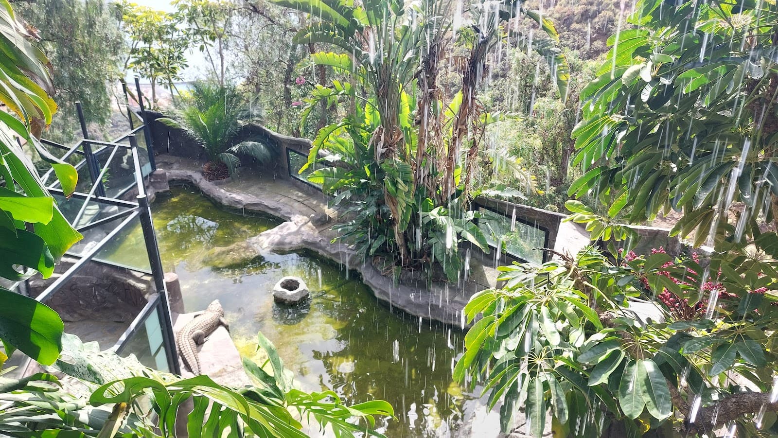 Maroparque La Palma - Image 1