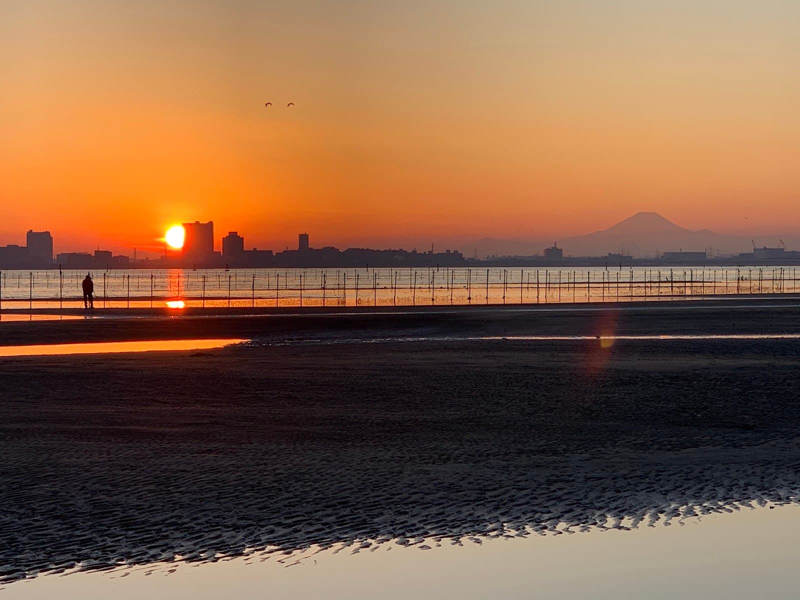 Funabashi Sanbanze Seaside Park - Image 1