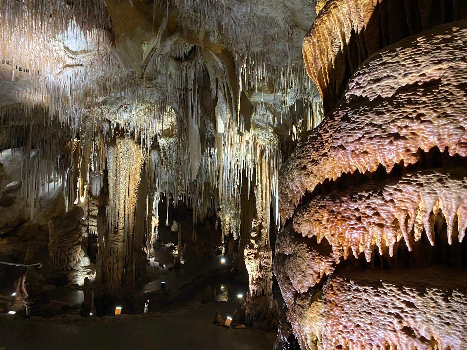 Tantanoola Caves Conservation Park - Image 1