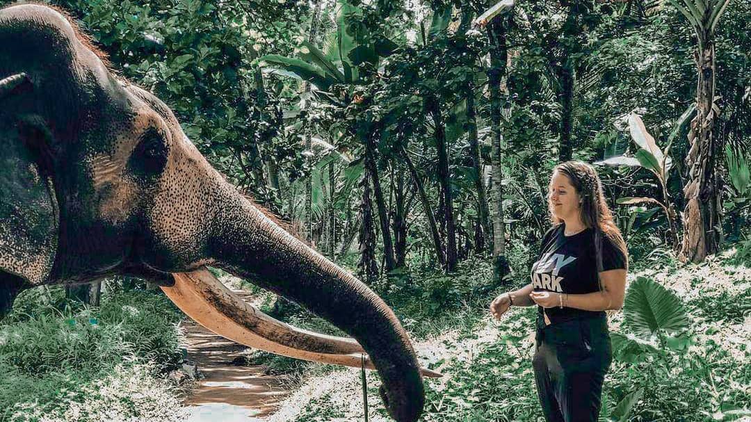 Learning About Elephant Care