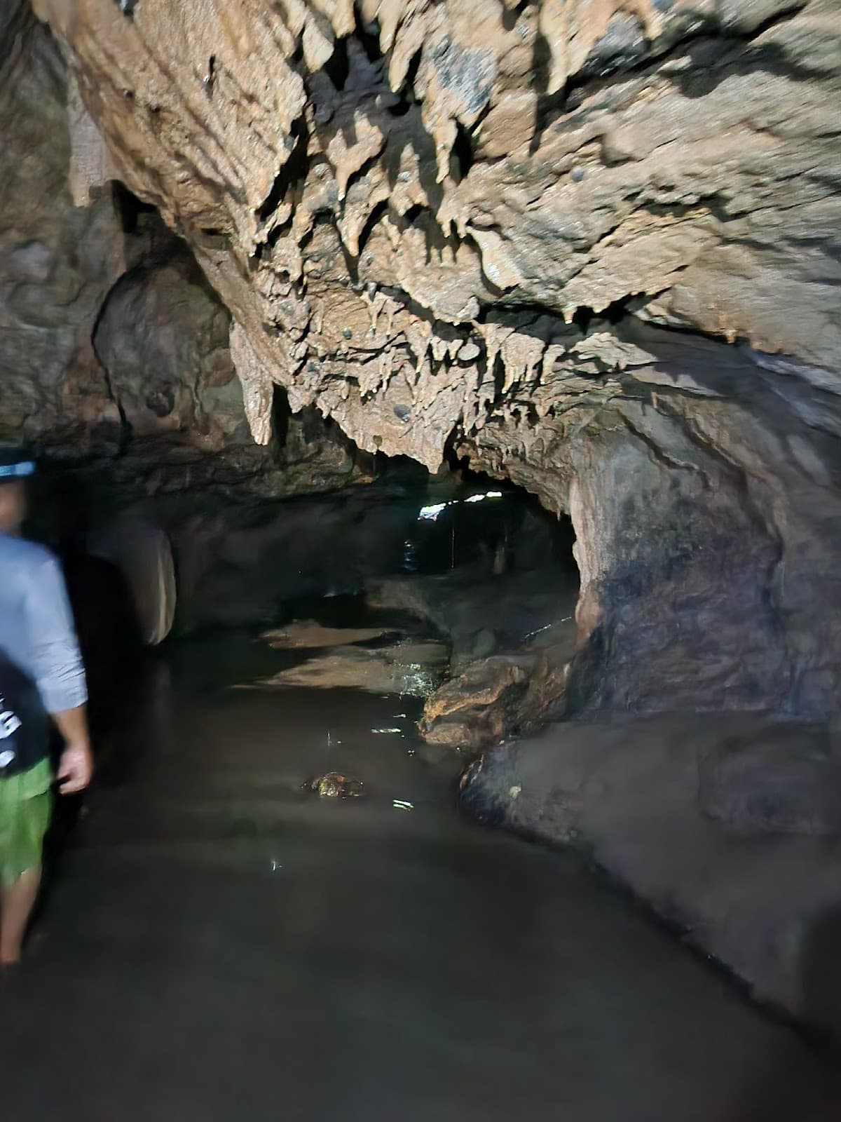 Nivida Bat Cave - Image 1