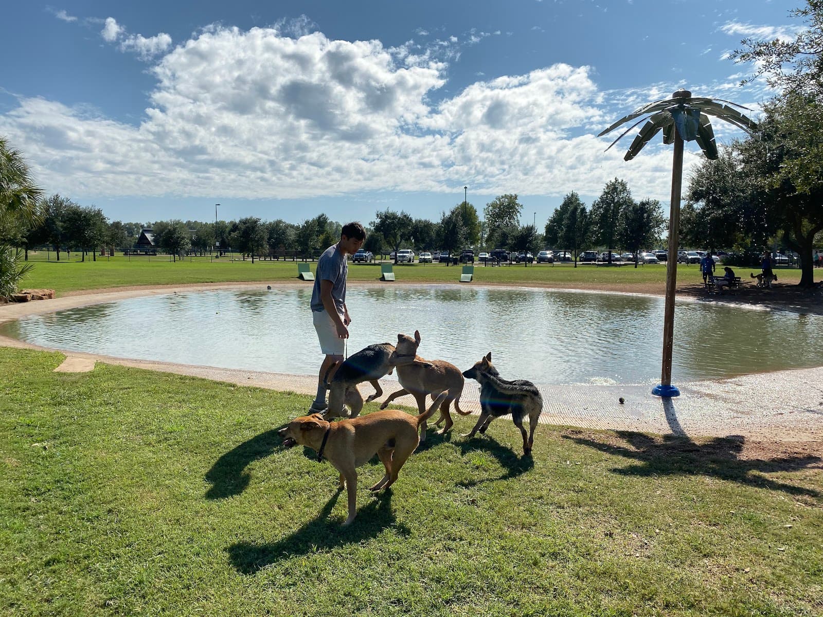 Pawm Springs Dog Park - Image 1