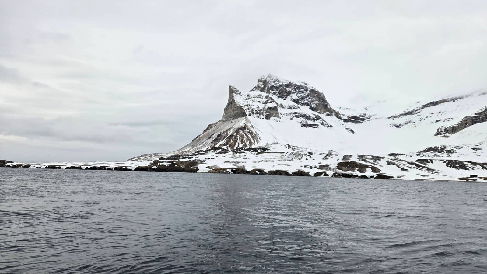 Arctic Fox Sightings