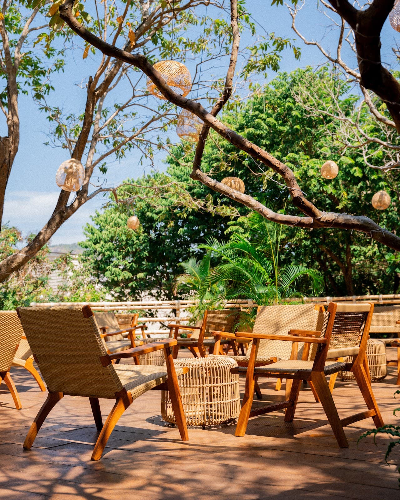 Summoreday Cafe - Image 1