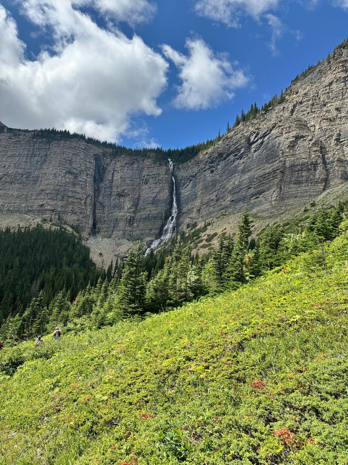 Scenic Burn Area Views