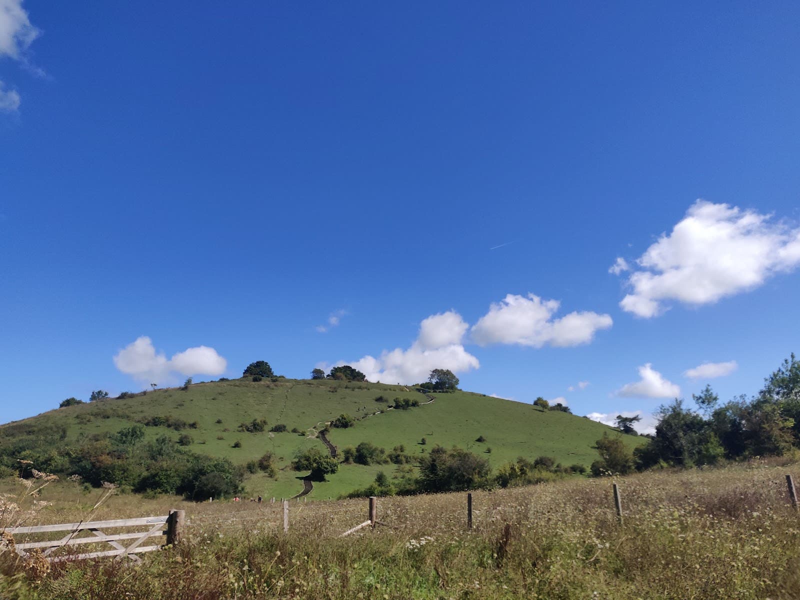 St Catherine's Hill and Mizmaze - Image 1
