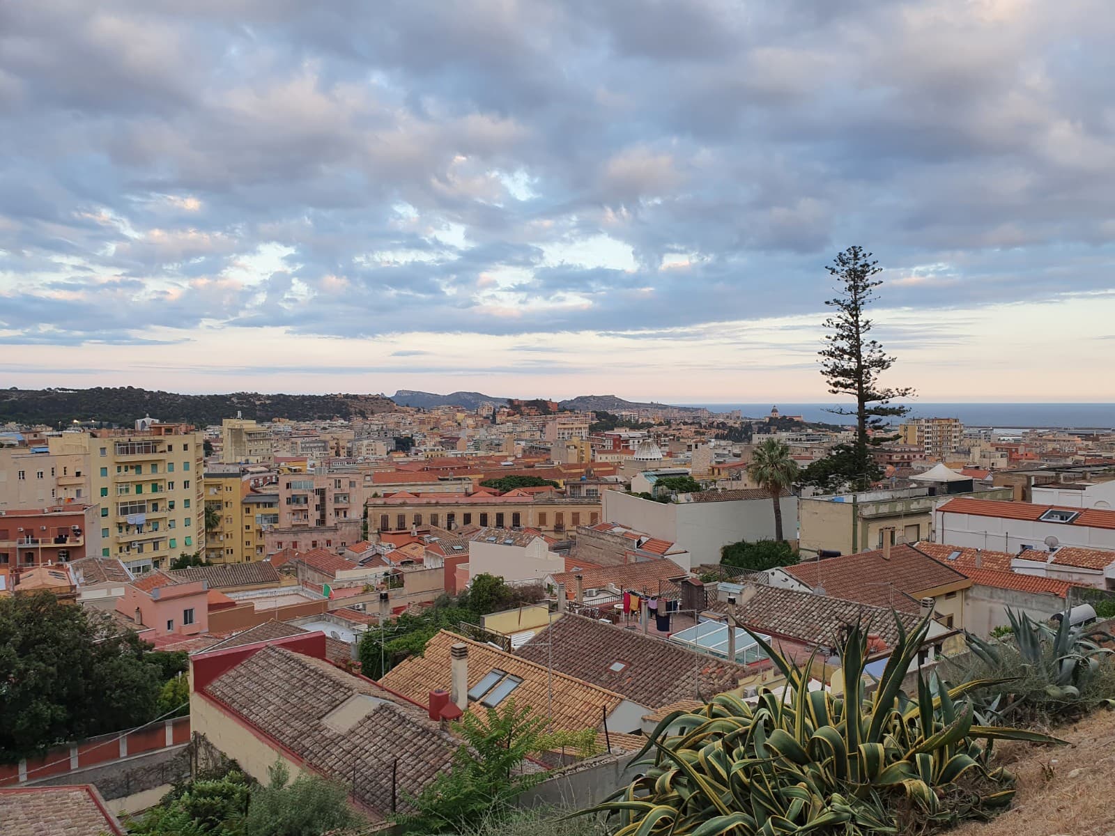 Viale Regina Elena - Image 1