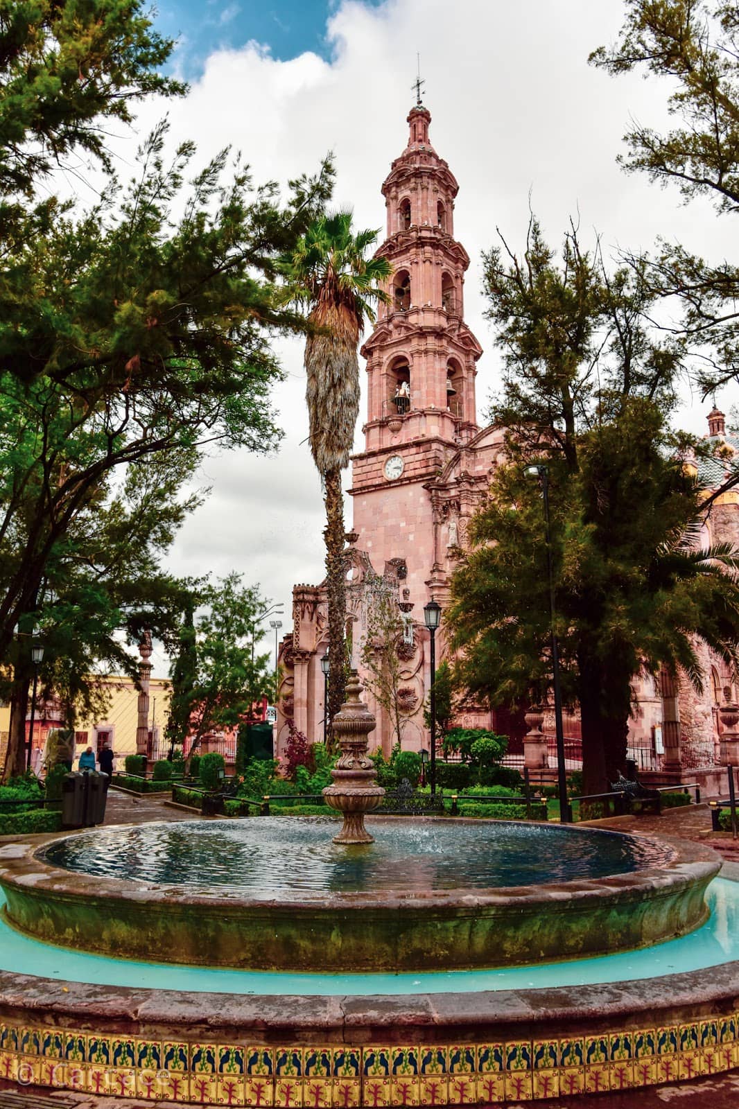 Gastronomic Delights