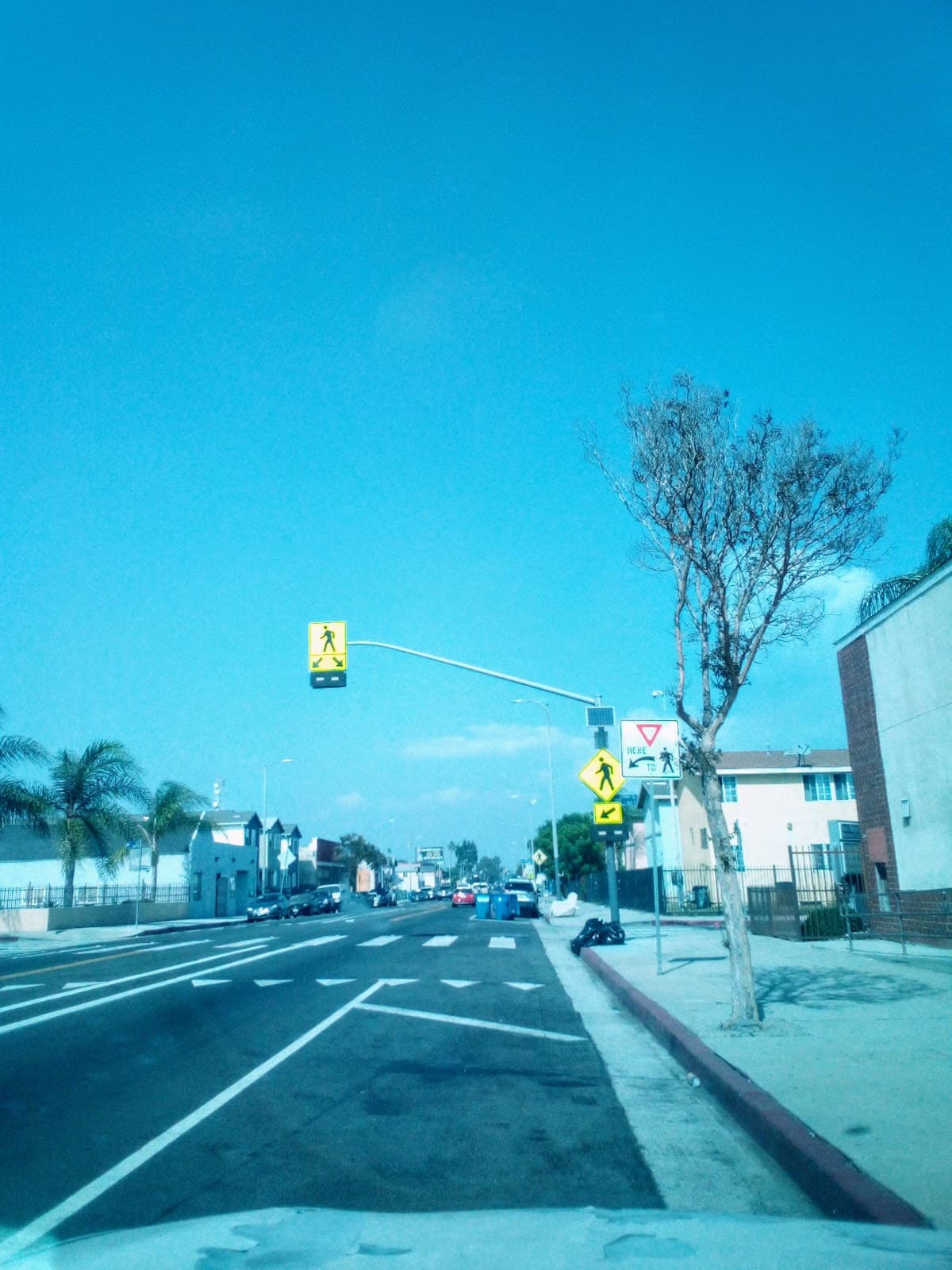 South Los Angeles - Image 1