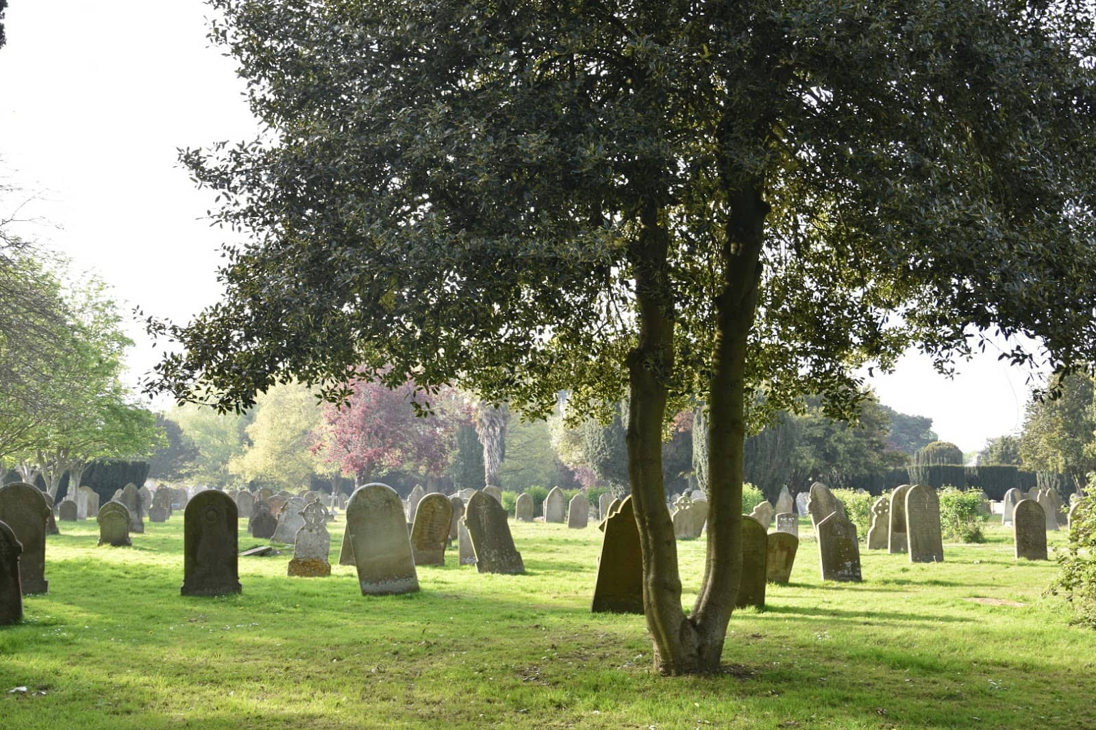 A Place of Quiet Reflection