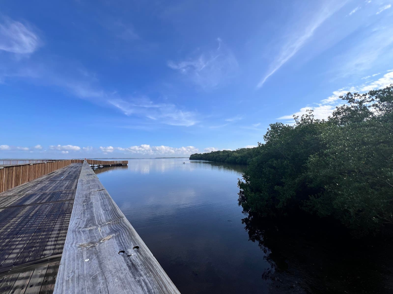 Ecoparque Ciénaga de Mallorquín - Image 1