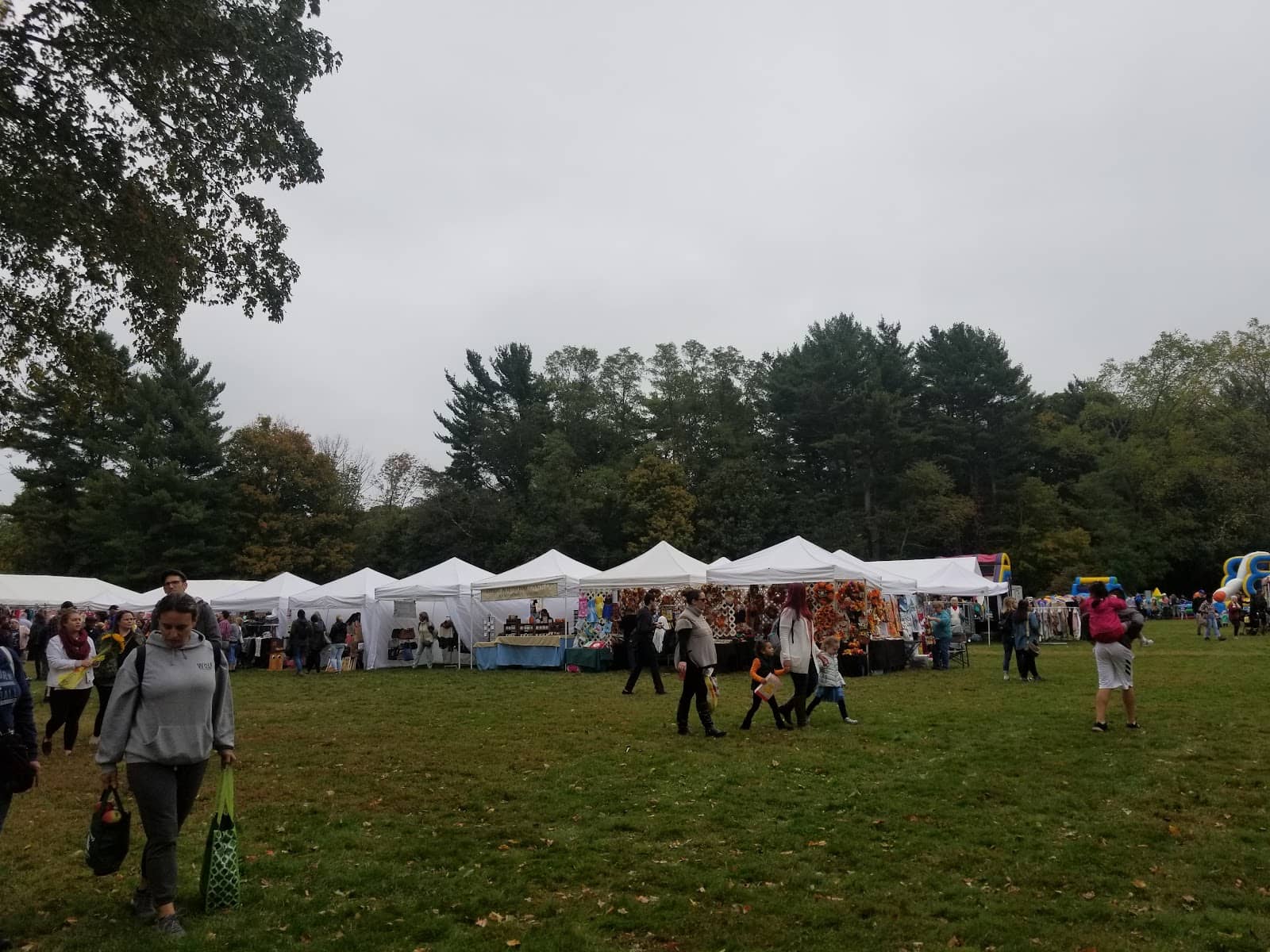 Apple Festival Fun
