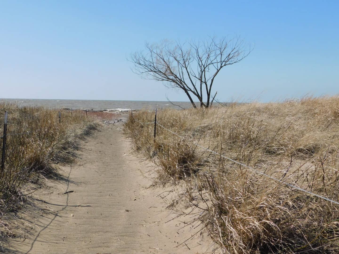 Expansive Beachcombing