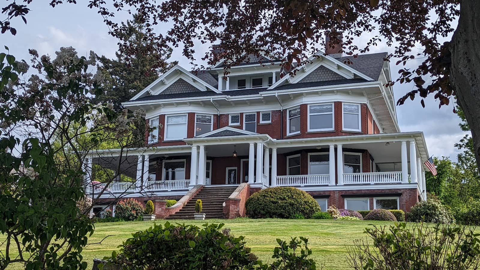 The Terrarium Basement