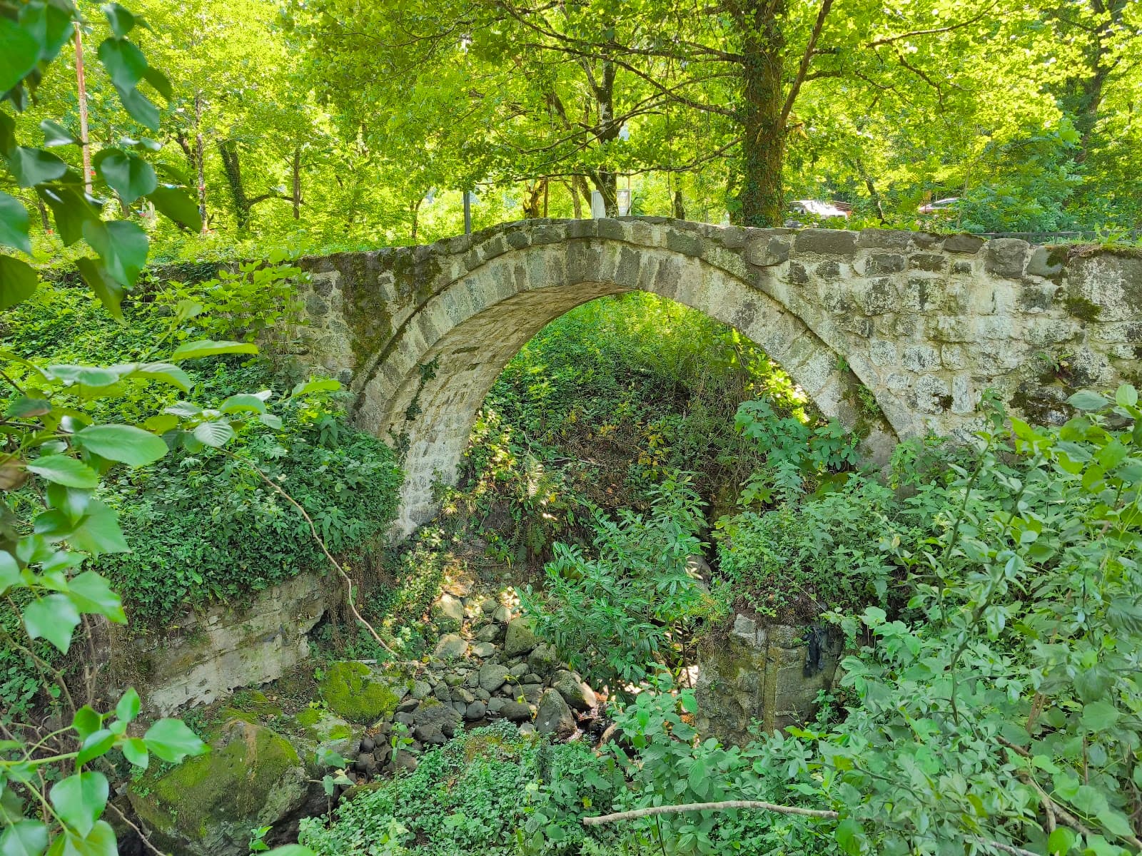 Mirveti Bridge - Image 1