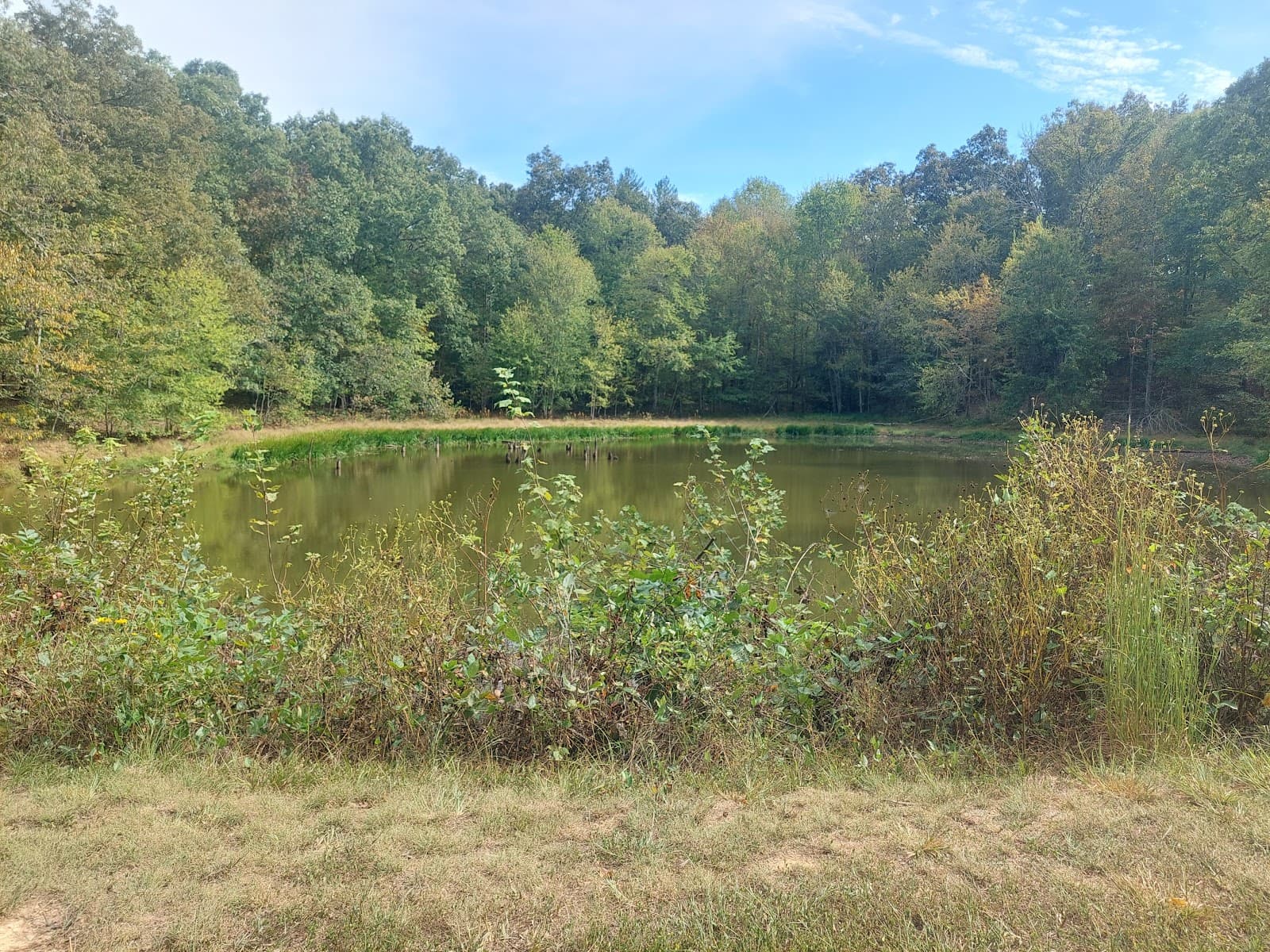 Central Kentucky Wildlife Refuge - Image 1