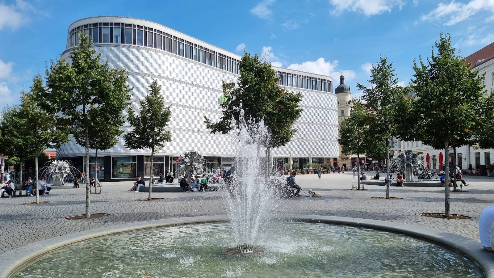 Community Gatherings & Events