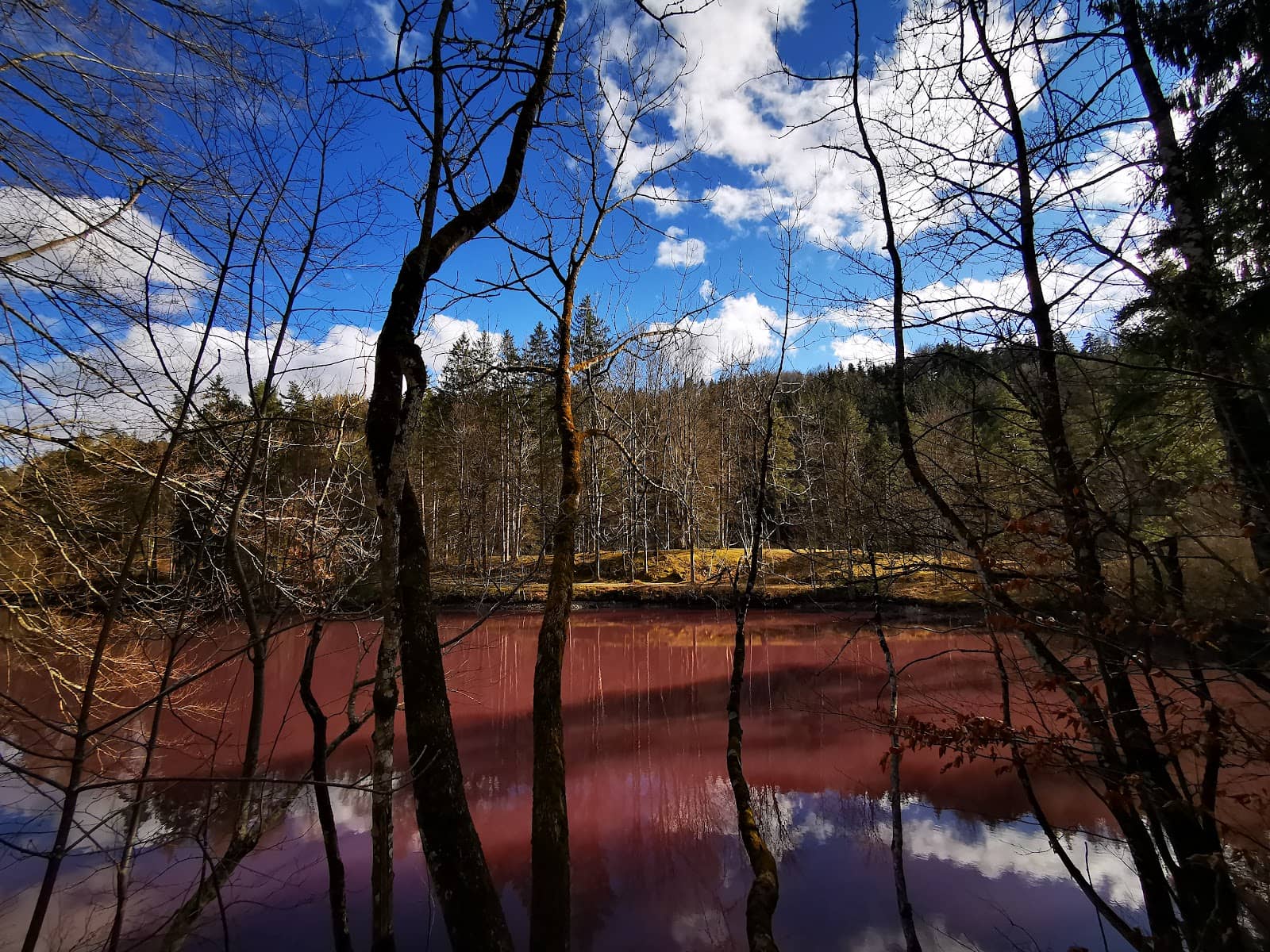 Proximity to Fairytale Castles