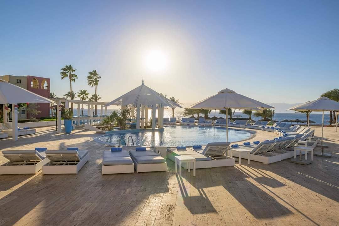 Delicious Dining Experiences