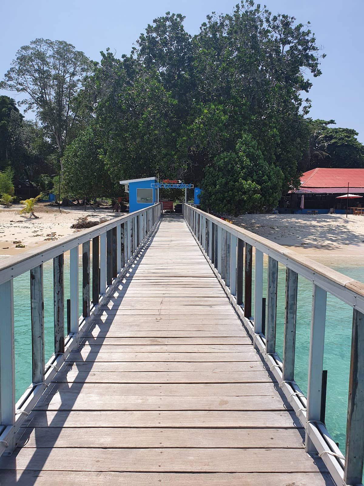 Snorkeling Adventures