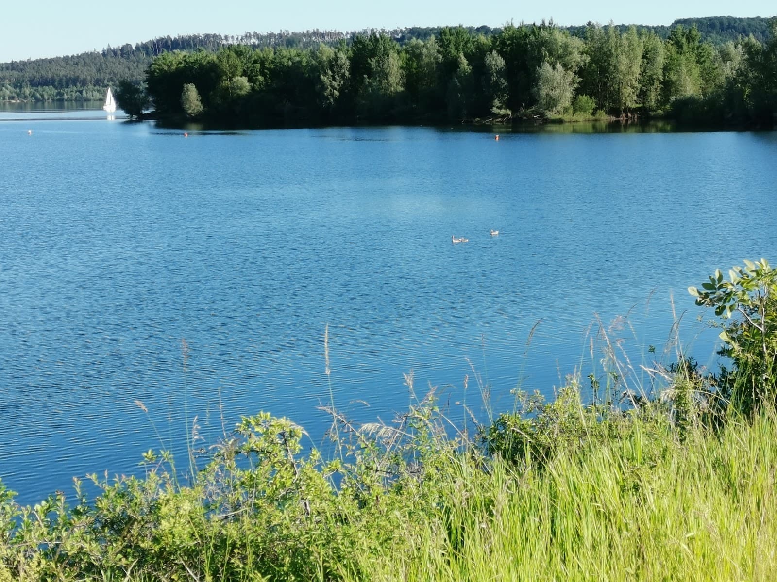 Franconian Lake District (Fränkisches Seenland) - Image 1