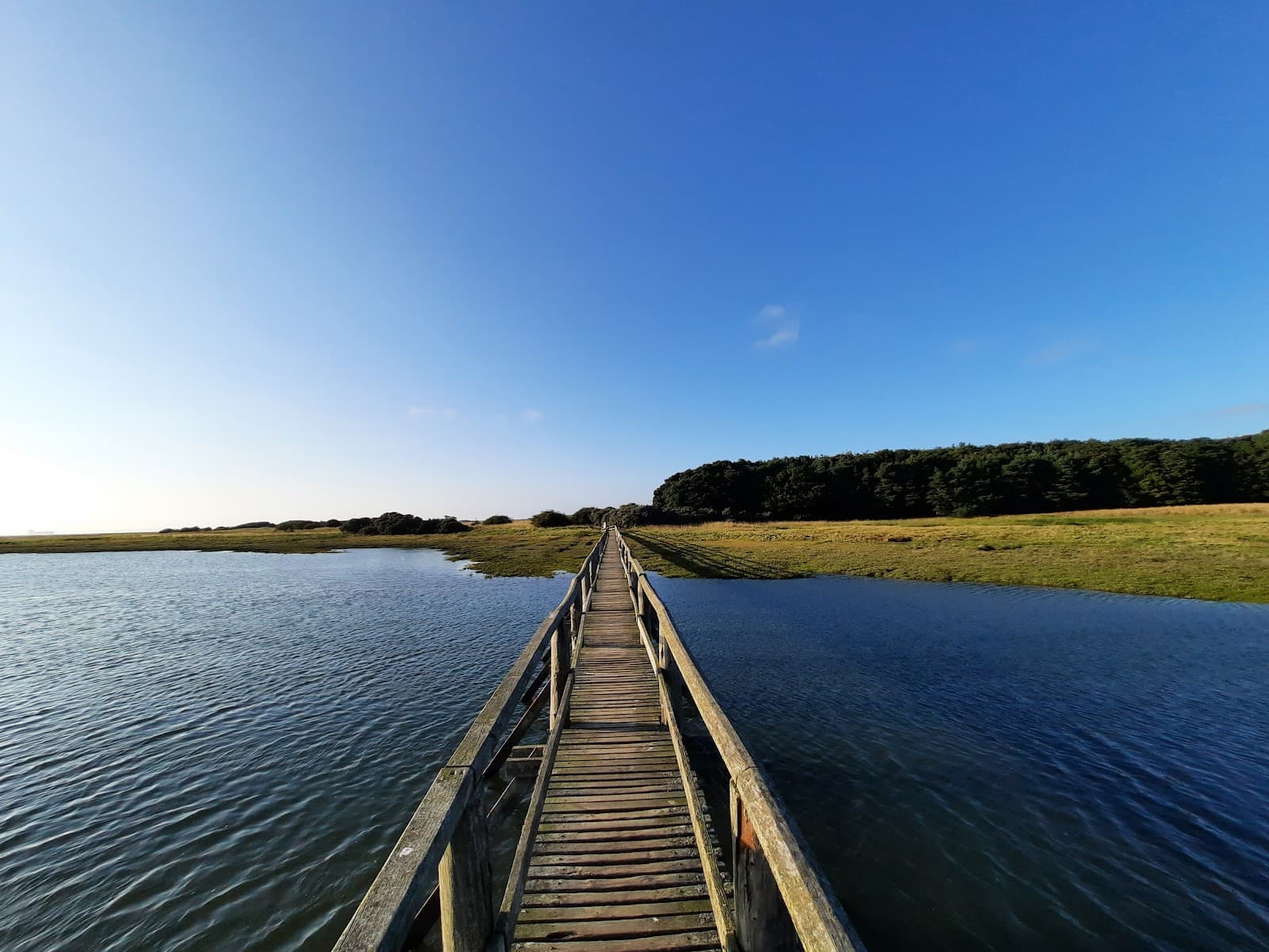 Aberlady Bay Nature Reserve - Image 1