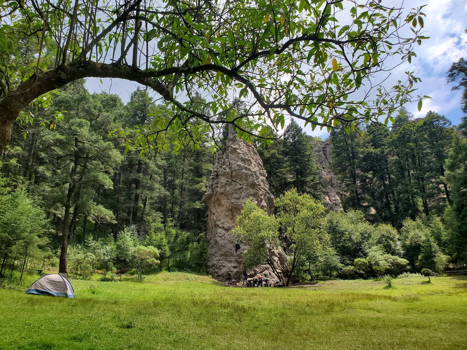 Nature Camping Experience