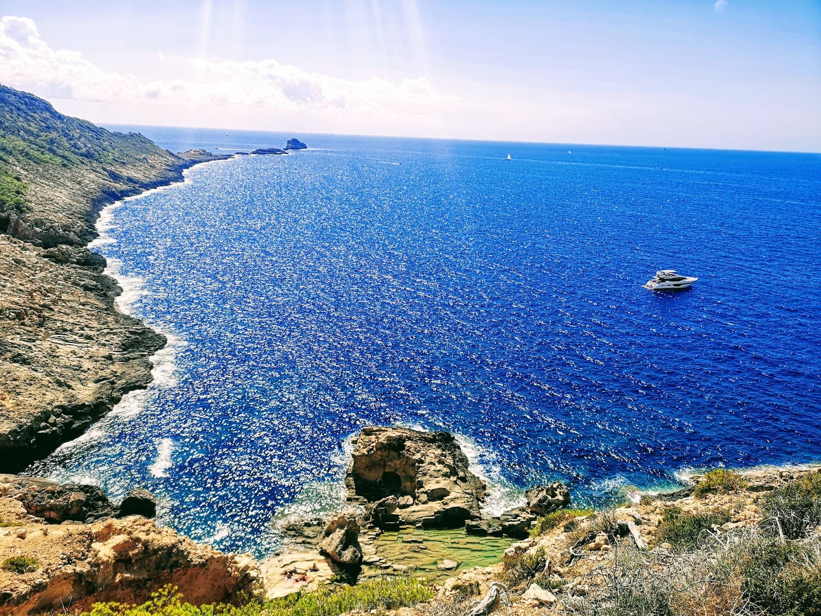 Marine Life Encounters